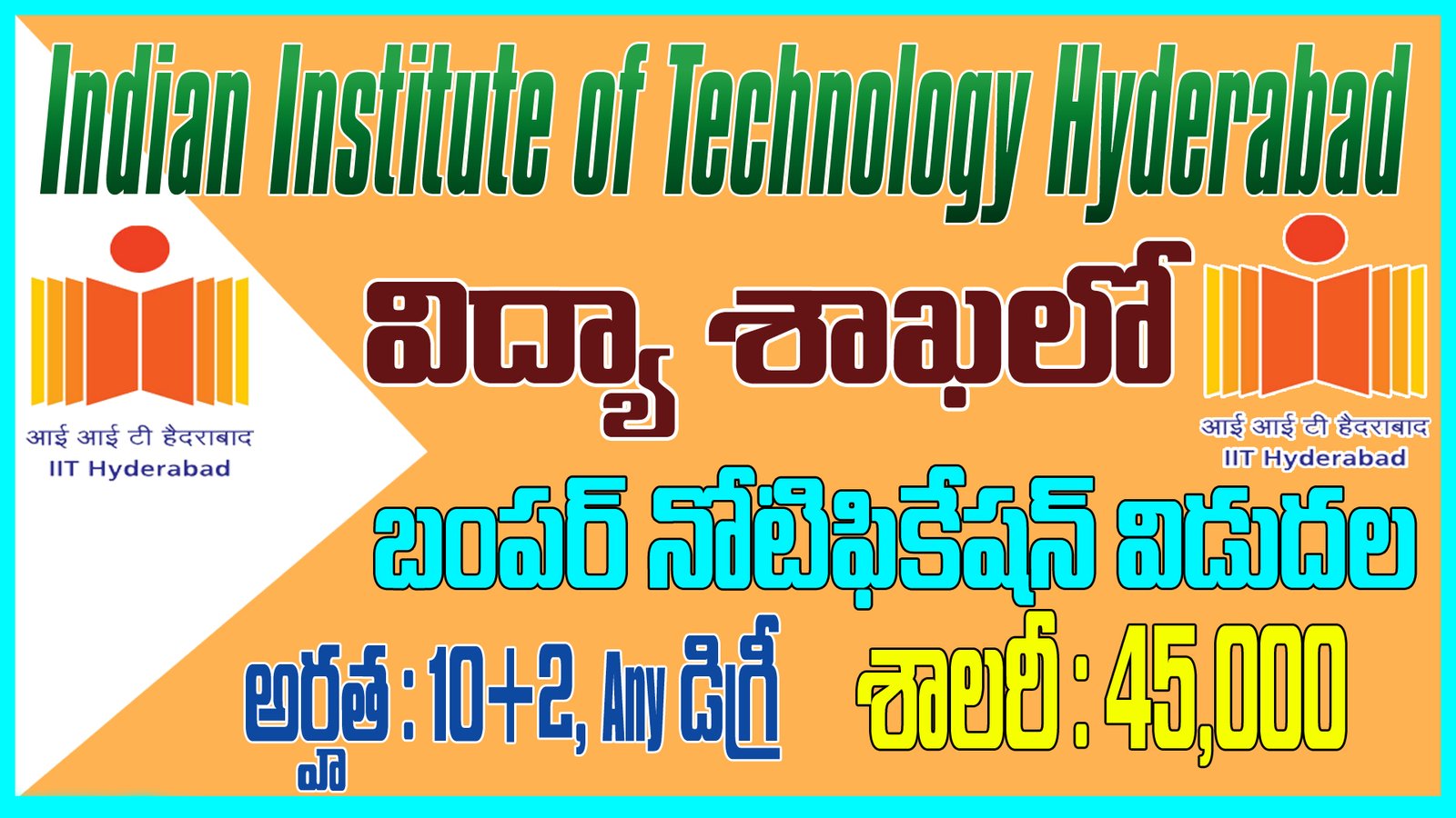 Non-Teaching Jobs at IIT Hyderabad -2024